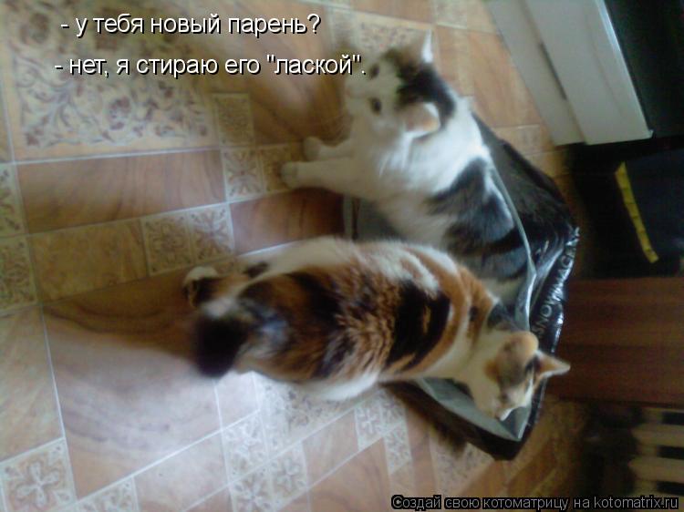 - у тебя новый парень? - нет, я стираю его "лаской".... Котоматрица: - у тебя новый парень? - нет, я стираю его "лаской".