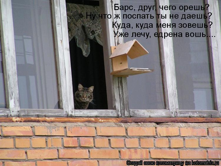 Барс, друг, чего орешь? Ну что ж поспать ты не даешь? Куда, куда меня зовешь? Уже лечу, едрена вошь..... Котоматрица: Барс, друг, чего орешь? Ну что ж поспать ты не даешь? Куда, куда меня зовешь? Уже лечу, едрена вошь....