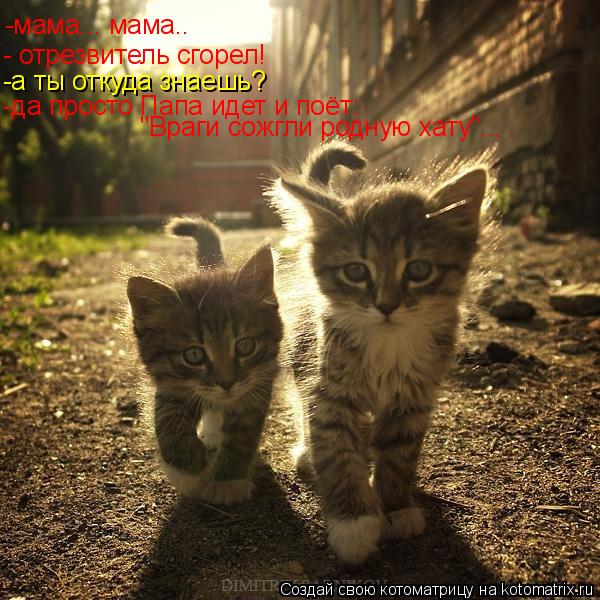 - отрезвитель сгорел! -а ты откуда знаешь? -да просто Папа идет и поёт: "Враги сожгли родную хату"...... Котоматрица: - отрезвитель сгорел! -а ты откуда знаешь? -да просто Папа идет и поёт: "Враги сожгли родную хату"... -мама... мама..