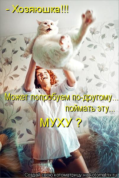 - Хозяюшка!!! Может попробуем по-другому... поймать эту... МУХУ ?... Котоматрица: - Хозяюшка!!! Может попробуем по-другому... поймать эту... МУХУ ?