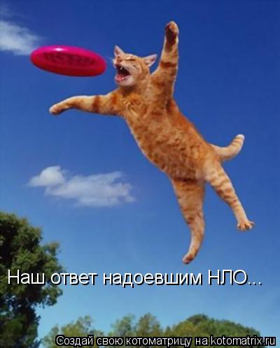 Наш ответ надоевшим НЛО...... Котоматрица: Наш ответ надоевшим НЛО...