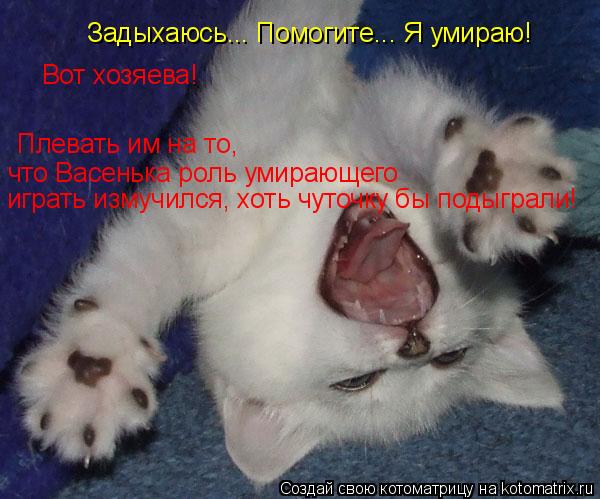 Задыхаюсь... Помогите... Я умираю! Вот хозяева! Плевать им на то, что Васенька роль умирающего играт... Котоматрица: Задыхаюсь... Помогите... Я умираю! Вот хозяева! Плевать им на то, что Васенька роль умирающего играть измучился, хоть чуточку бы подыграли!