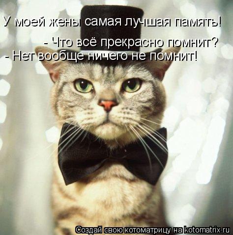 У моей жены самая лучшая память! - Что всё прекрасно помнит? - Нет вообще ничего не помнит!... Котоматрица: У моей жены самая лучшая память! - Что всё прекрасно помнит? - Нет вообще ничего не помнит!