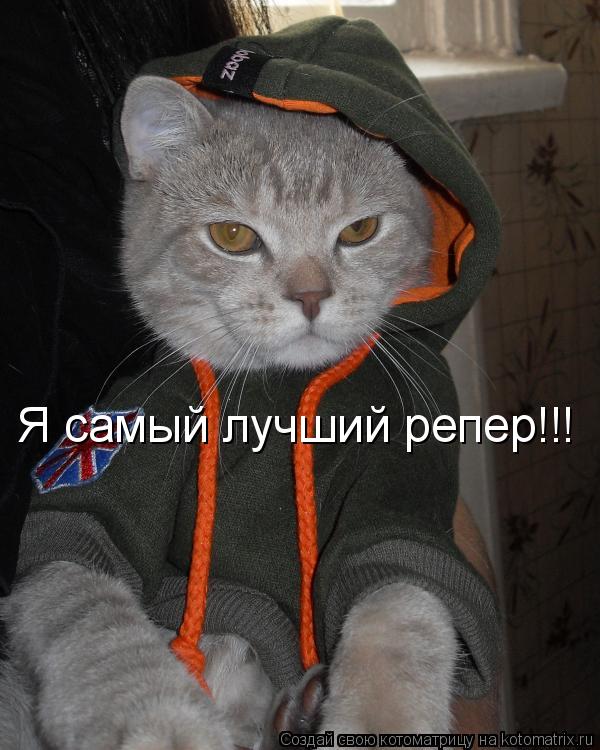 Я самый лучший репер!!!... Котоматрица: Я самый лучший репер!!!