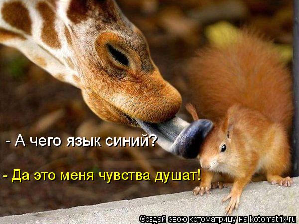 - А чего язык синий? - Да это меня чувства душат!... Котоматрица: - А чего язык синий? - Да это меня чувства душат!