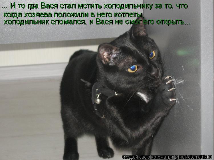 ... И то гда Вася стал мстить холодильнику за то, что когда хозяева положили в него котлеты, холодил... Котоматрица: ... И то гда Вася стал мстить холодильнику за то, что когда хозяева положили в него котлеты, холодильник сломался, и Вася не смог его открыть..