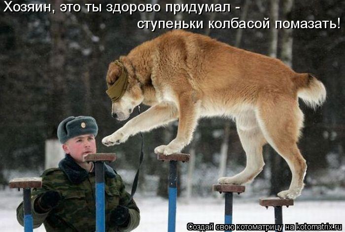 Хозяин, это ты здорово придумал - ступеньки колбасой помазать!... Котоматрица: Хозяин, это ты здорово придумал - ступеньки колбасой помазать!