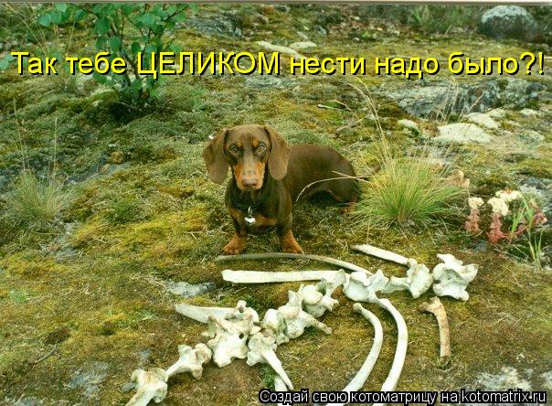 Так тебе ЦЕЛИКОМ нести надо было?!... Котоматрица: Так тебе ЦЕЛИКОМ нести надо было?!