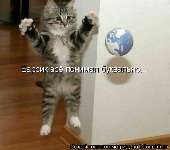 Барсик всё понимал буквально...... Котоматрица: Барсик всё понимал буквально...