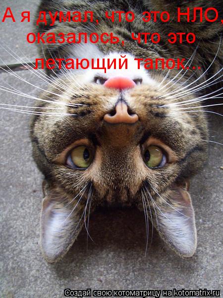 А я думал, что это НЛО, оказалось, что это летающий тапок...... Котоматрица: А я думал, что это НЛО, оказалось, что это летающий тапок...