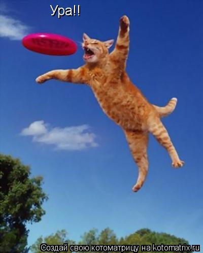 Ура!!... Котоматрица: Ура!!
