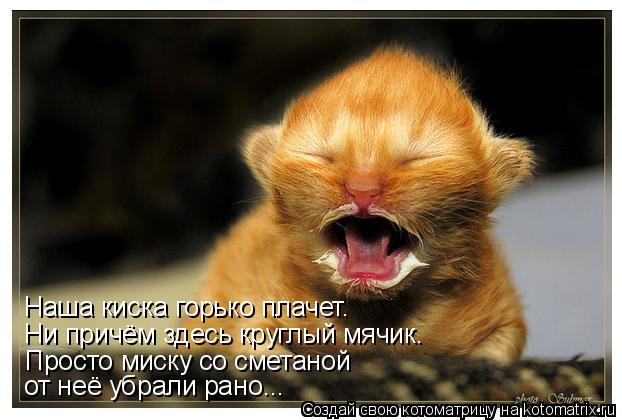 от неё убрали рано... Просто миску со сметаной Ни причём здесь круглый мячик. Наша киска горько плаче... Котоматрица: от неё убрали рано... Просто миску со сметаной Ни причём здесь круглый мячик. Наша киска горько плачет.