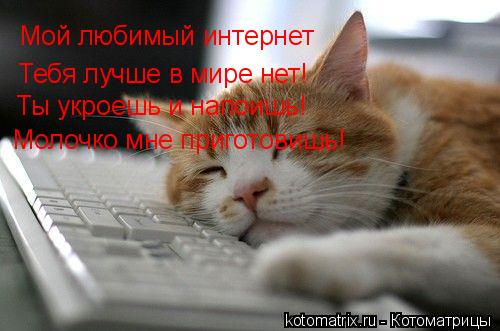 Тебя лучше в мире нет! Ты укроешь и напоишь! Мой любимый интернет Молочко мне приготовишь!... Котоматрица: Тебя лучше в мире нет! Ты укроешь и напоишь! Мой любимый интернет Молочко мне приготовишь!