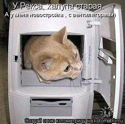 У Рекса, халупа старая. А у меня новостройка , с вентиляторами)... Котоматрица: У Рекса, халупа старая. А у меня новостройка , с вентиляторами)