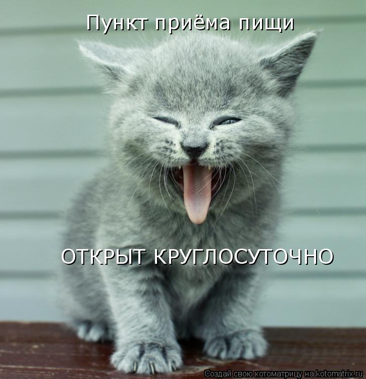 ОТКРЫТ КРУГЛОСУТОЧНО Пункт приёма пищи... Котоматрица: ОТКРЫТ КРУГЛОСУТОЧНО Пункт приёма пищи