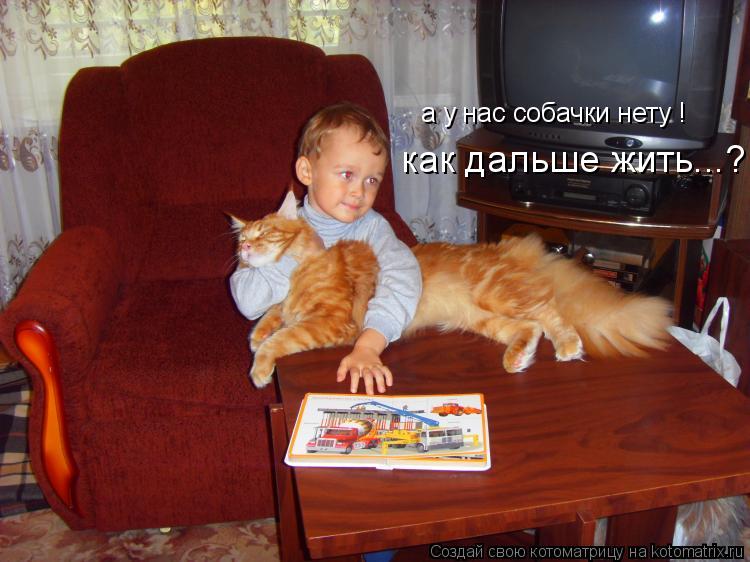 а у нас собачки нету ! как дальше жить...?... Котоматрица: а у нас собачки нету ! как дальше жить...?