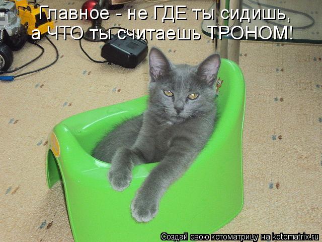 Главное - не ГДЕ ты сидишь, а ЧТО ты считаешь ТРОНОМ!... Котоматрица: Главное - не ГДЕ ты сидишь, а ЧТО ты считаешь ТРОНОМ!