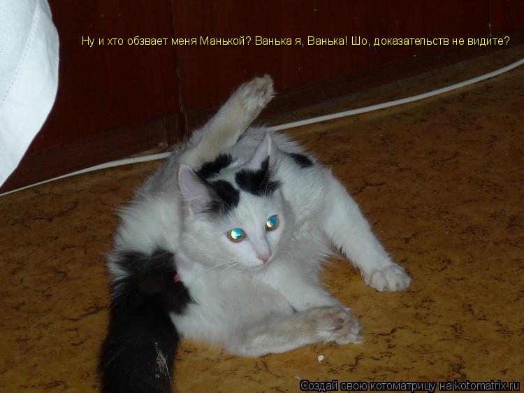 Ну и хто обзвает меня Манькой? Ванька я, Ванька! Шо, доказательств не видите?... Котоматрица: Ну и хто обзвает меня Манькой? Ванька я, Ванька! Шо, доказательств не видите?