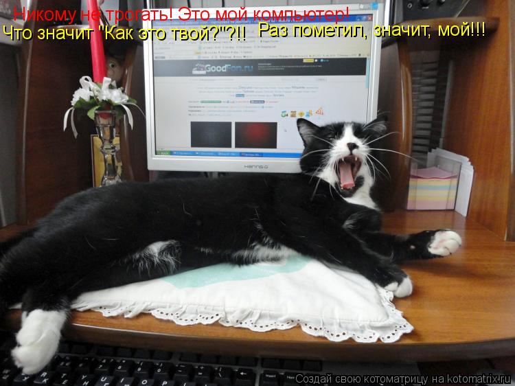 Котоматрица: Никому не трогать! Это мой компьютер!  Что значит "Как это твой?"?!!  Раз пометил, значит, мой!!!