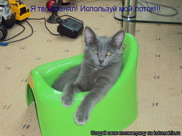 Котоматрица: Я твой занял! Используй мой лоток!!!