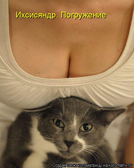 Котоматрица: Ихсисяндр. Погружение