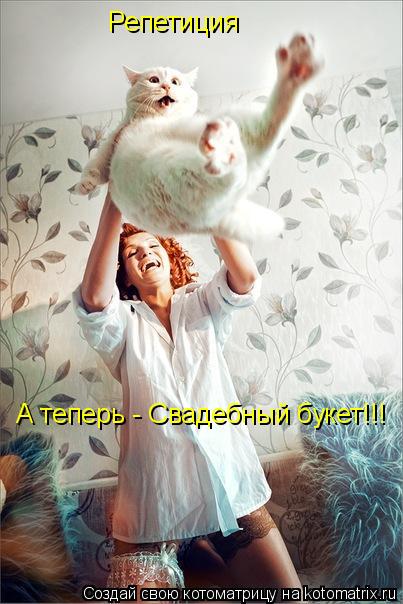 Котоматрица: А теперь - Свадебный букет!!! Репетиция