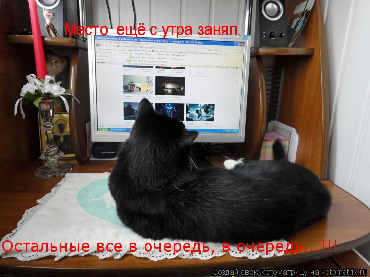 Котоматрица: Остальные все в очередь, в очередь...!!! Место  ещё с утра занял.