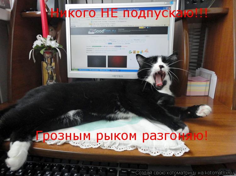 Котоматрица: Никого НЕ подпускаю!!! Грозным рыком разгоняю!