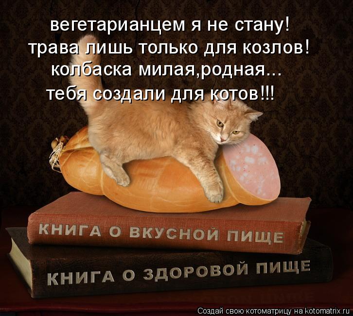 вегетарианцем я не стану! трава лишь только для козлов! колбаска милая,родная... тебя создали для кот... Котоматрица: вегетарианцем я не стану! трава лишь только для козлов! колбаска милая,родная... тебя создали для котов!!!