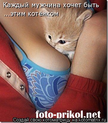 Каждый мужчина хочет быть ...этим котёнком... Котоматрица: Каждый мужчина хочет быть ...этим котёнком