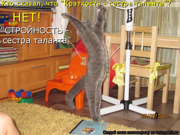 Кто сказал, что "Краткость - сестра таланта"? НЕТ! сестра таланта" "СТРОЙНОСТЬ -... Котоматрица: Кто сказал, что "Краткость - сестра таланта"? НЕТ! сестра таланта" "СТРОЙНОСТЬ -