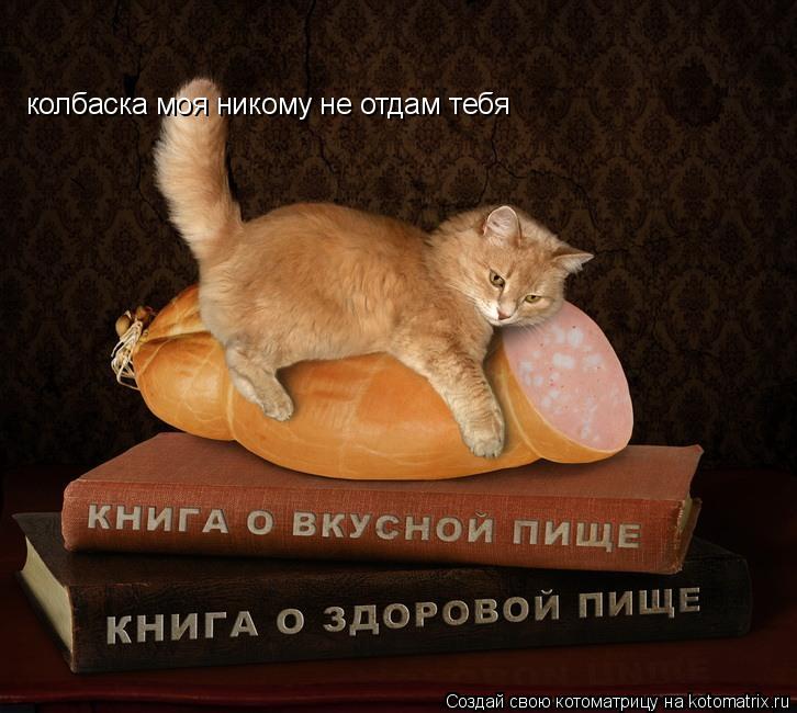колбаска моя никому не отдам тебя... Котоматрица: колбаска моя никому не отдам тебя
