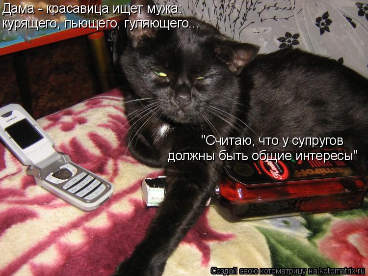 Дама - красавица ищет мужа: курящего, пьющего, гуляющего... "Считаю, что у супругов должны быть общие... Котоматрица: Дама - красавица ищет мужа: курящего, пьющего, гуляющего... "Считаю, что у супругов должны быть общие интересы"