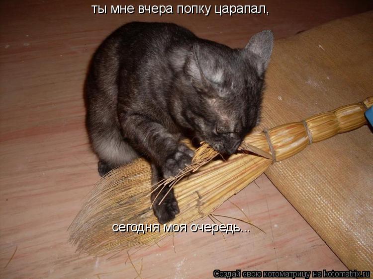 ты мне вчера попку царапал, сегодня моя очередь...... Котоматрица: ты мне вчера попку царапал, сегодня моя очередь...