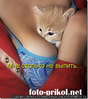 Мне столько не выпить...... Котоматрица: Мне столько не выпить...