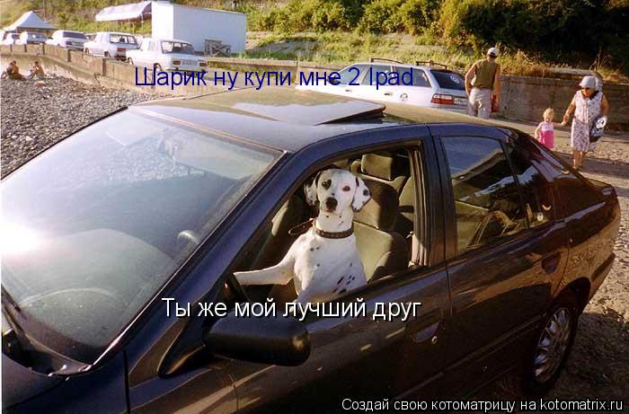 Шарик ну купи мне 2 Ipad Ты же мой лучший друг... Котоматрица: Шарик ну купи мне 2 Ipad Ты же мой лучший друг