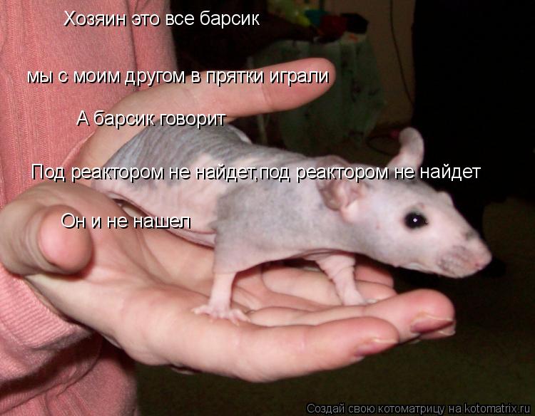 Хозяин это все барсик мы с моим другом в прятки играли А барсик говорит Под реактором не найдет,под ... Котоматрица: Хозяин это все барсик мы с моим другом в прятки играли А барсик говорит Под реактором не найдет,под реактором не найдет Он и не нашел