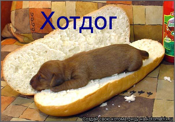 Хотдог... Котоматрица: Хотдог