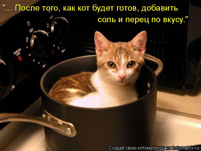 Котоматрица: "... После того, как кот будет готов, добавить соль и перец по вкусу."