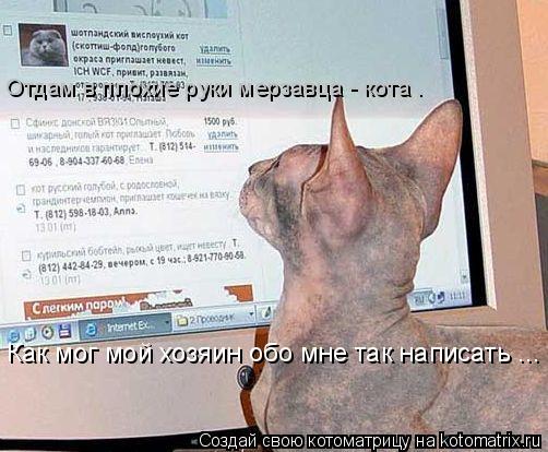 Котоматрица: Отдам в плохие руки мерзавца - кота . Как мог мой хозяин обо мне так написать ...