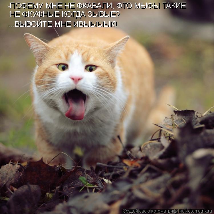 Котоматрица: -ПОФЕМУ МНЕ НЕ ФКАВАЛИ, ФТО МЫФЫ ТАКИЕ  НЕ ФКУФНЫЕ КОГДА ЗЫВЫЕ? ...ВЫВОЙТЕ МНЕ ИВЫЫЫЫК!