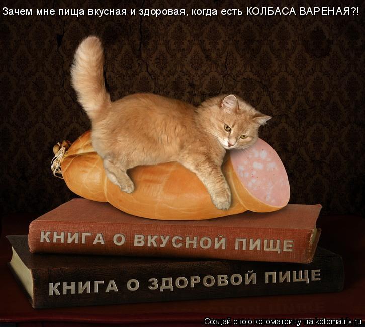 Котоматрица: Зачем мне пища вкусная и здоровая, когда есть КОЛБАСА ВАРЕНАЯ?!
