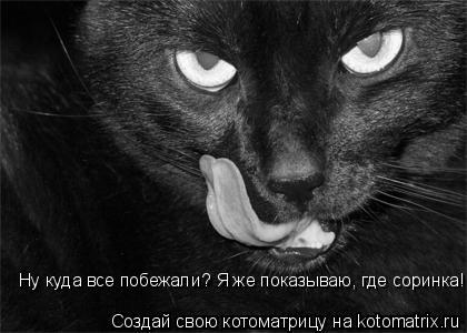 Котоматрица: Ну куда все побежали? Я же показываю, где соринка!