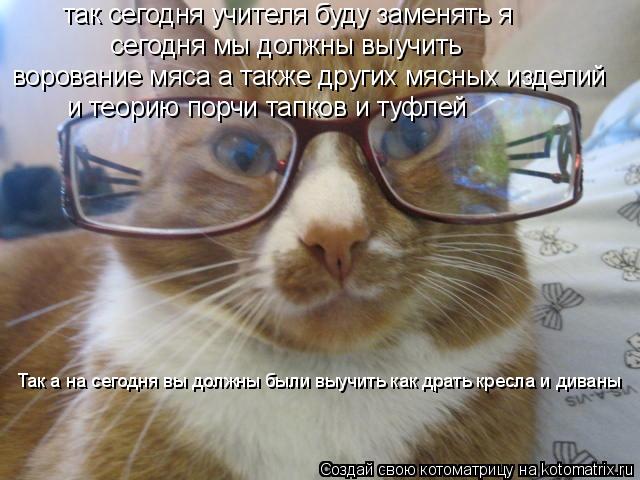 Котоматрица: так сегодня учителя буду заменять я сегодня мы должны выучить ворование мяса а также других мясных изделий и теорию порчи тапков и туфлей Т