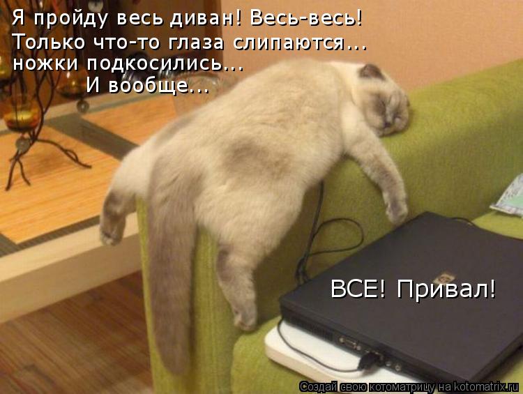 Котоматрица: Только что-то глаза слипаются... ножки подкосились... ВСЕ! Привал! Я пройду весь диван! Весь-весь! И вообще...