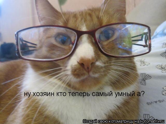 Котоматрица: ну хозяин кто теперь самый умный а?