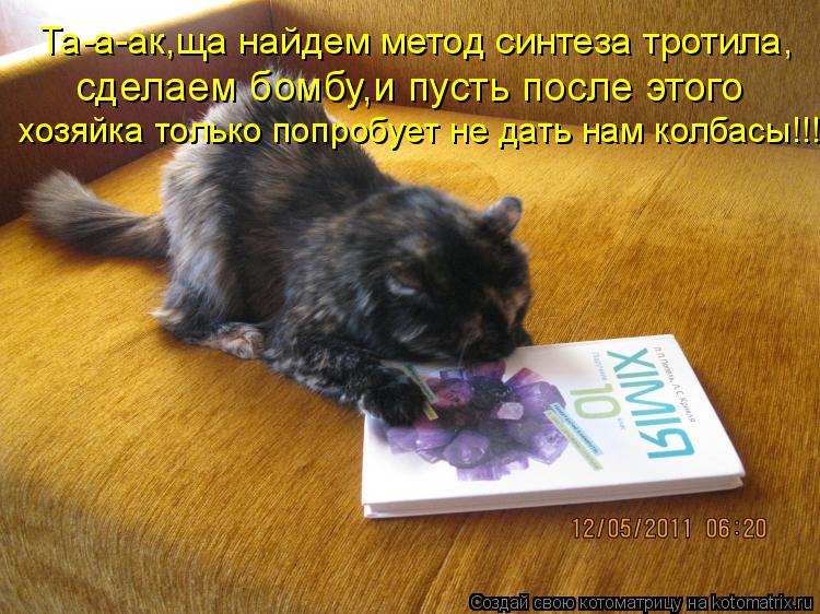 Котоматрица: Та-а-ак,ща найдем метод синтеза тротила, сделаем бомбу,и пусть после этого хозяйка только попробует не дать нам колбасы!!!