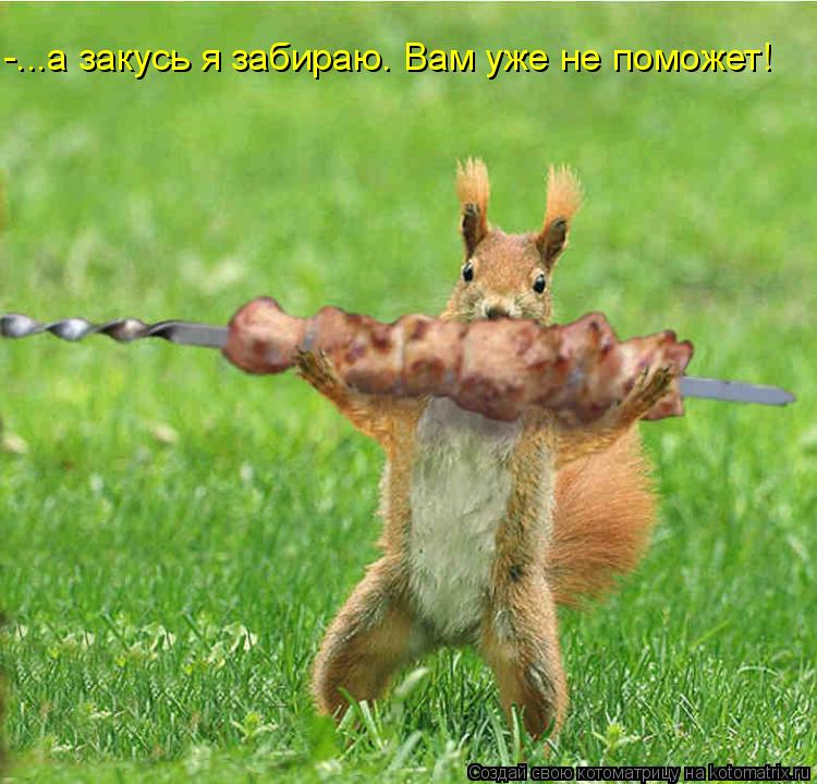 Котоматрица: -...а закусь я забираю. Вам уже не поможет!