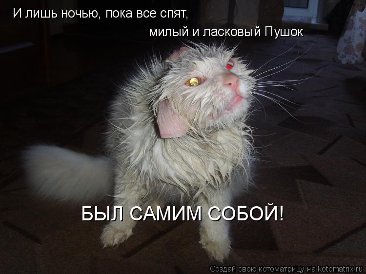 Котоматрица: И лишь ночью, пока все спят, милый и ласковый Пушок  БЫЛ САМИМ СОБОЙ!