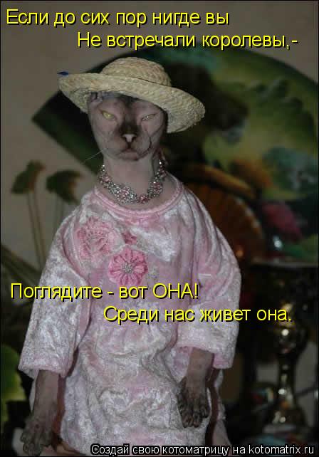 Котоматрица: Если до сих пор нигде вы Не встречали королевы,- Поглядите - вот ОНА! Среди нас живет она.